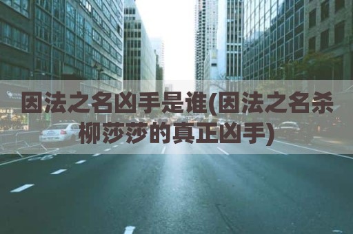 因法之名凶手是谁(因法之名杀柳莎莎的真正凶手)