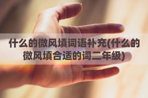 什么的微风填词语补充(什么的微风填合适的词二年级)