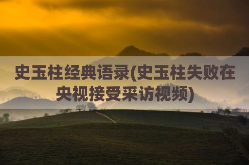 史玉柱经典语录(史玉柱失败在央视接受采访视频)