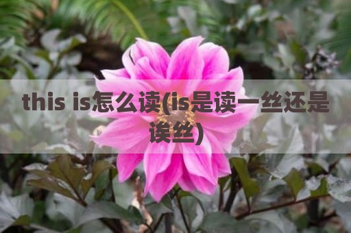 this is怎么读(is是读一丝还是诶丝)