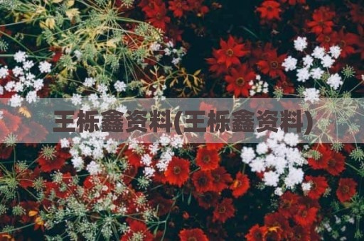 王栎鑫资料(王栎鑫资料)