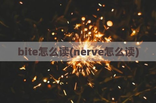 bite怎么读(nerve怎么读)