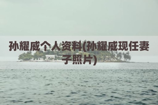 孙耀威个人资料(孙耀威现任妻子照片)