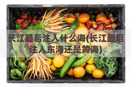长江最后注入什么海(长江最后注入东海还是黄海)