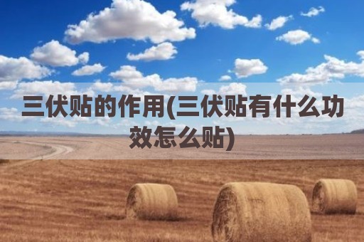 三伏贴的作用(三伏贴有什么功效怎么贴)