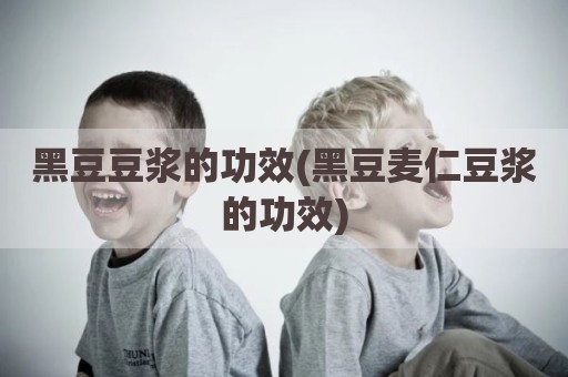 黑豆豆浆的功效(黑豆麦仁豆浆的功效)