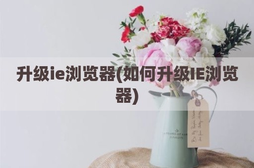 升级ie浏览器(如何升级IE浏览器)