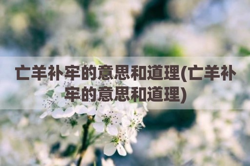 亡羊补牢的意思和道理(亡羊补牢的意思和道理)