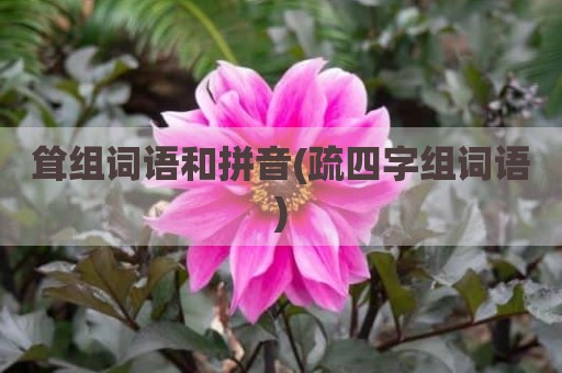 耸组词语和拼音(疏四字组词语)