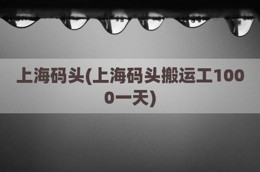 上海码头(上海码头搬运工1000一天)