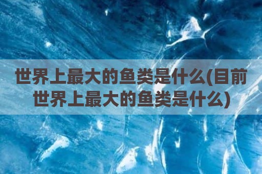 世界上最大的鱼类是什么(目前世界上最大的鱼类是什么)
