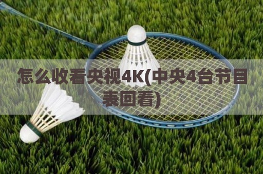 怎么收看央视4K(中央4台节目表回看)