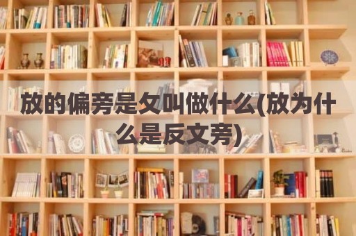 放的偏旁是攵叫做什么(放为什么是反文旁)