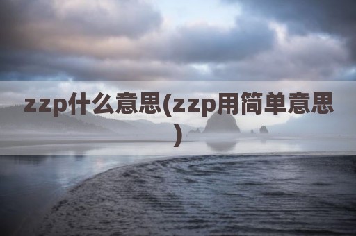 zzp什么意思(zzp用简单意思)