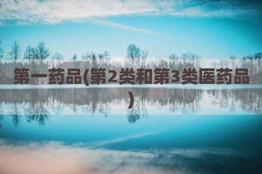 第一药品(第2类和第3类医药品)