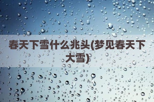 春天下雪什么兆头(梦见春天下大雪)