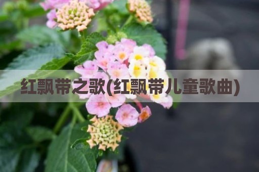 红飘带之歌(红飘带儿童歌曲)