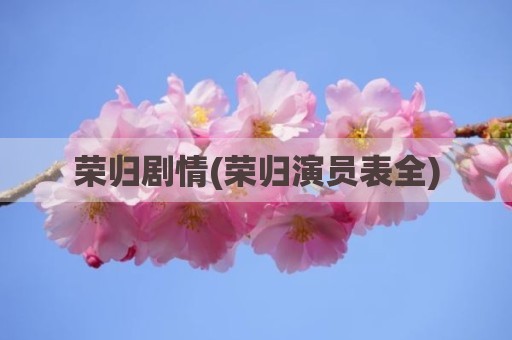 荣归剧情(荣归演员表全)