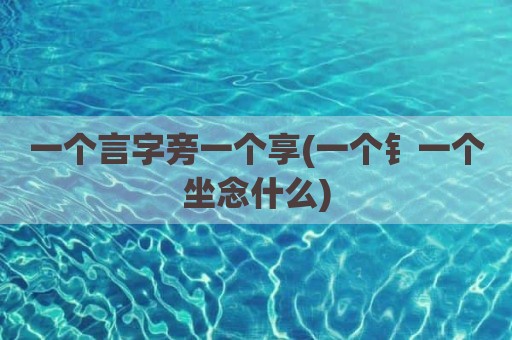 一个言字旁一个享(一个钅一个坐念什么)