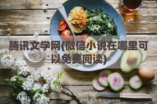 腾讯文学网(微信小说在哪里可以免费阅读)
