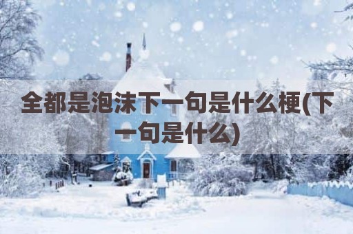 全都是泡沫下一句是什么梗(下一句是什么)