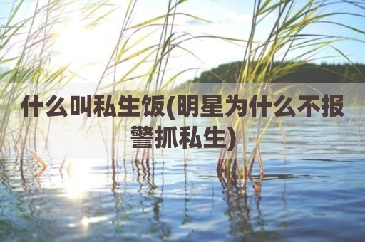 什么叫私生饭(明星为什么不报警抓私生)