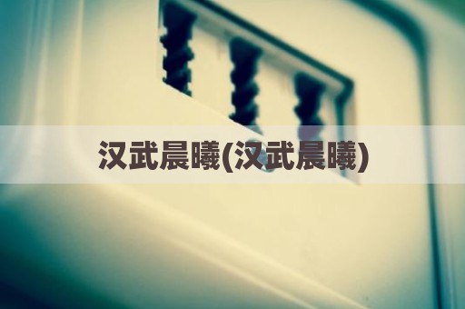 汉武晨曦(汉武晨曦)