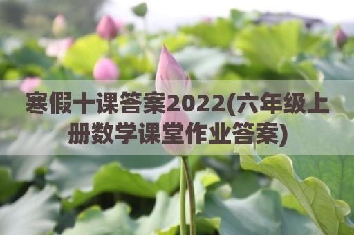 寒假十课答案2022(六年级上册数学课堂作业答案)
