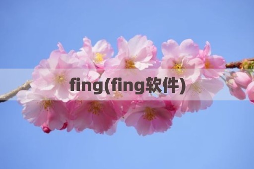 fing(fing软件)