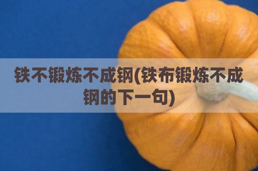 铁不锻炼不成钢(铁布锻炼不成钢的下一句)