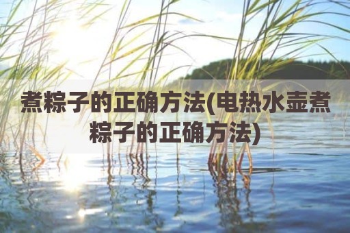 煮粽子的正确方法(电热水壶煮粽子的正确方法)