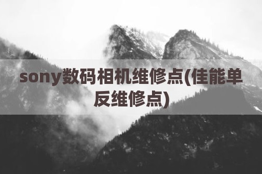 sony数码相机维修点(佳能单反维修点)