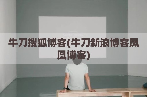牛刀搜狐博客(牛刀新浪博客凤凰博客)