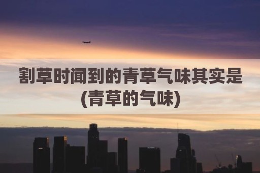 割草时闻到的青草气味其实是(青草的气味)