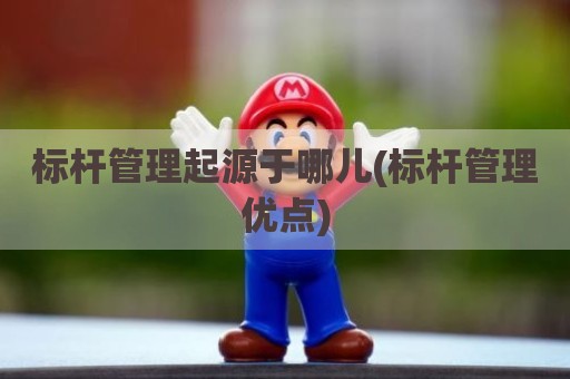 标杆管理起源于哪儿(标杆管理优点)