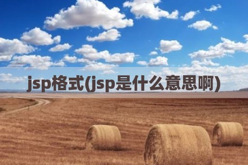 jsp格式(jsp是什么意思啊)