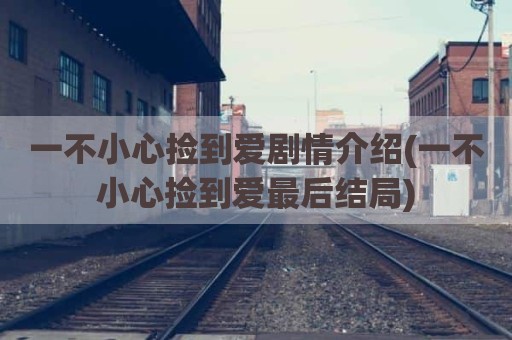 一不小心捡到爱剧情介绍(一不小心捡到爱最后结局)