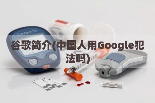 谷歌简介(中国人用Google犯法吗)