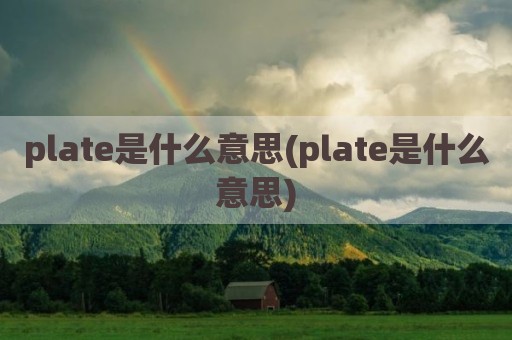 plate是什么意思(plate是什么意思)