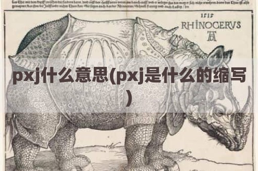 pxj什么意思(pxj是什么的缩写)