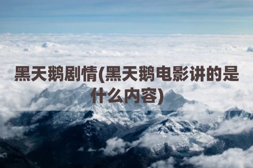 黑天鹅剧情(黑天鹅电影讲的是什么内容)