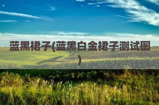 蓝黑裙子(蓝黑白金裙子测试图)
