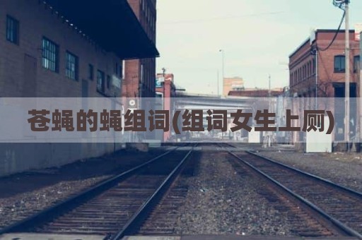 苍蝇的蝇组词(组词女生上厕)