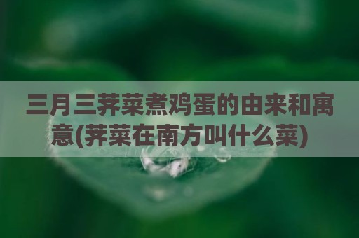 三月三荠菜煮鸡蛋的由来和寓意(荠菜在南方叫什么菜)