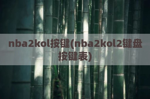 nba2kol按键(nba2kol2键盘按键表)