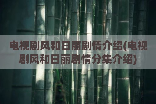 电视剧风和日丽剧情介绍(电视剧风和日丽剧情分集介绍)