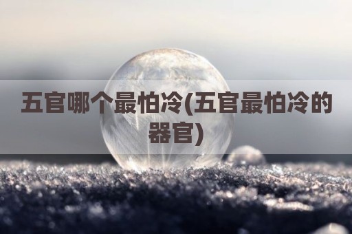 五官哪个最怕冷(五官最怕冷的器官)