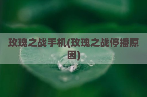 玫瑰之战手机(玫瑰之战停播原因)