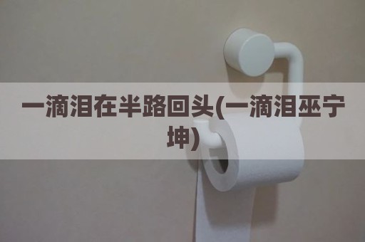 一滴泪在半路回头(一滴泪巫宁坤)
