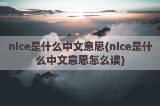 nice是什么中文意思(nice是什么中文意思怎么读)